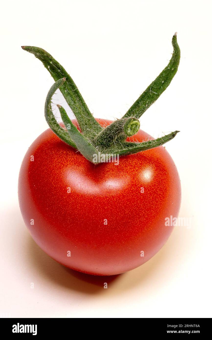 Pomodoro rosso isolato su sfondo bianco. Pomodoro con percorso di ritaglio. Foto Stock