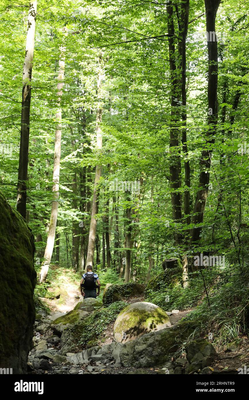 Tuzla, Bosnia ed Erzegovina. 17 agosto 2023. La grande sfera di pietra è stata vista nel villaggio di Zavidovici in Bosnia ed Herzegovia il 9 agosto 2023. Questo è il più grande ritrovamento di sfere di pietra in Europa. Ad oggi, ne sono stati trovati circa 60, di cui 11 sono stati conservati in ottime condizioni e sono tutti allineati lungo un torrente nella foresta e sono vicini l'uno all'altro. Foto: Emica Elvedji/PIXSELL credito: Pixsell/Alamy Live News Foto Stock