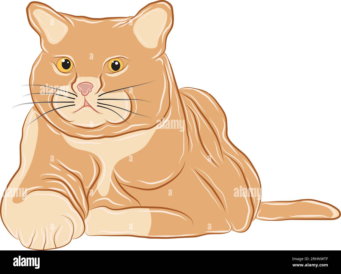 Cuscino per gatti Immagini Vettoriali Stock - Pagina 2 - Alamy