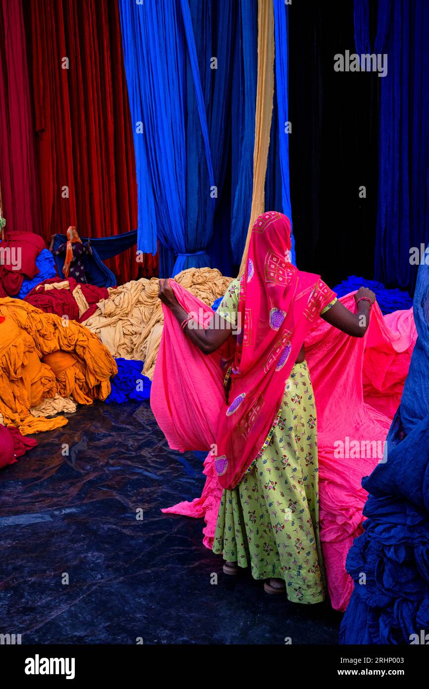 India Rajasthan, Sari fabbrica tessile sono asciugati all'aria aperta. La raccolta del prodotto tessile secco vengono piegate per le donne Foto Stock
