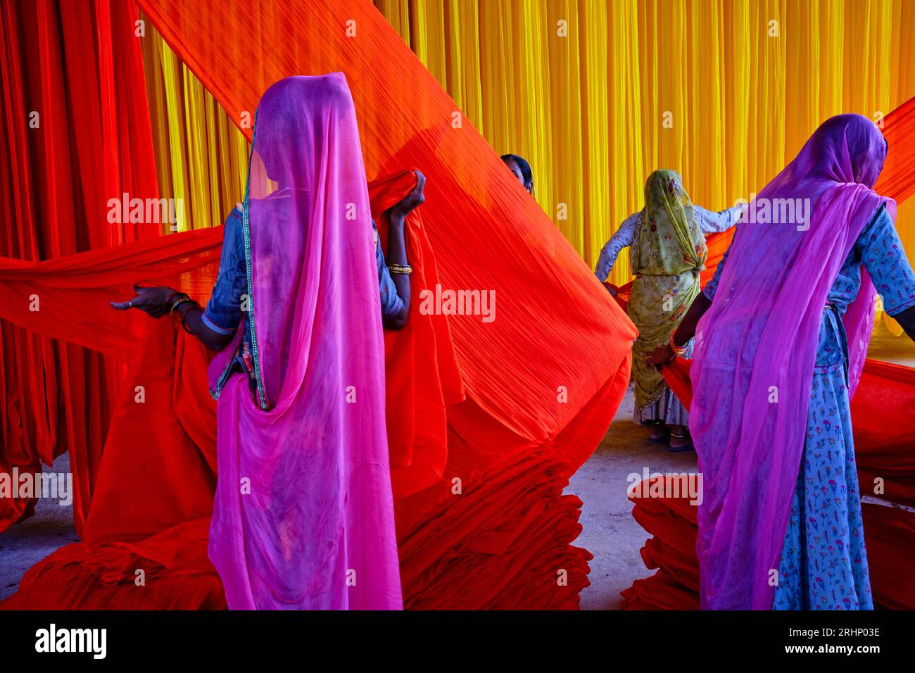 India Rajasthan, Sari fabbrica tessile sono asciugati all'aria aperta. La raccolta del prodotto tessile secco vengono piegate per le donne Foto Stock