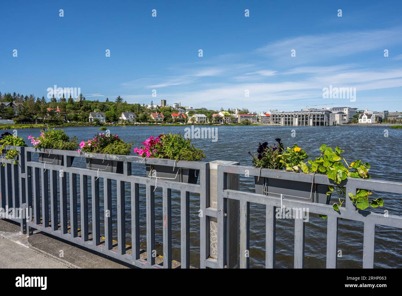 Case eleganti e Municipio di Reykjavik, lo stagno di Tjörnin, Reykjavik, Islanda Foto Stock