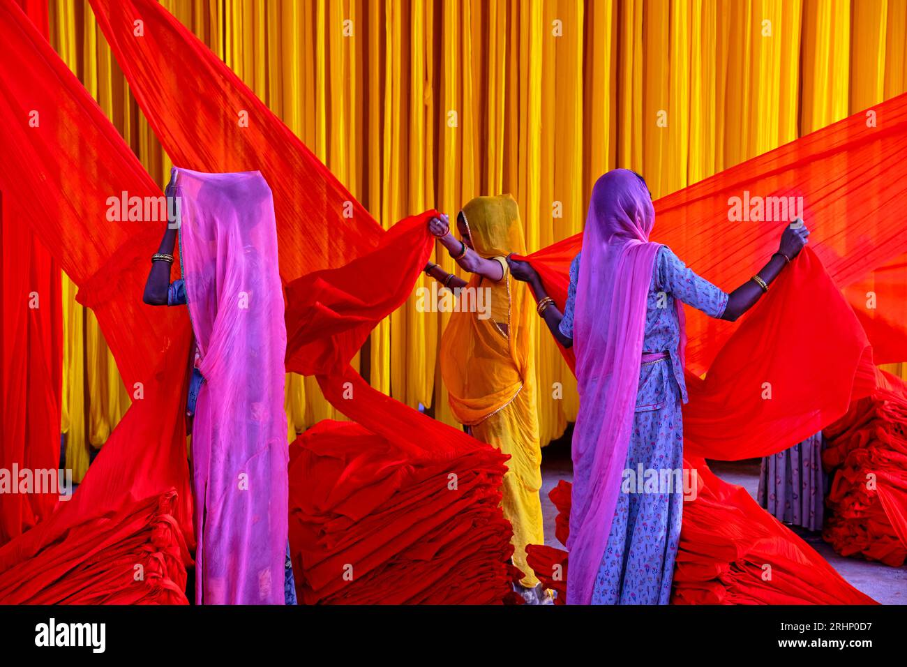 India Rajasthan, Sari fabbrica tessile sono asciugati all'aria aperta. La raccolta del prodotto tessile secco vengono piegate per le donne Foto Stock