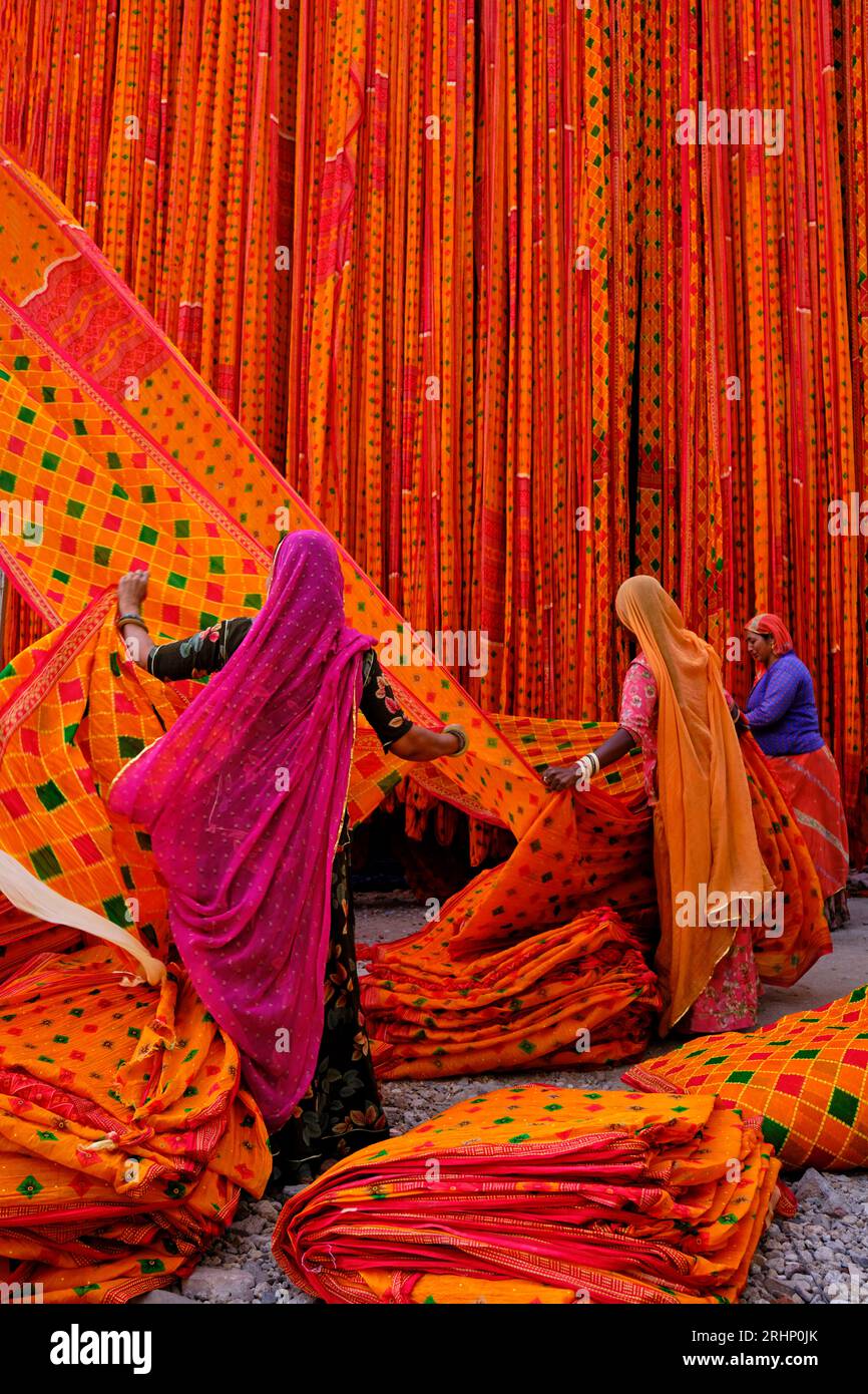 India Rajasthan, Sari fabbrica tessile sono asciugati all'aria aperta. La raccolta del prodotto tessile secco vengono piegate per le donne Foto Stock