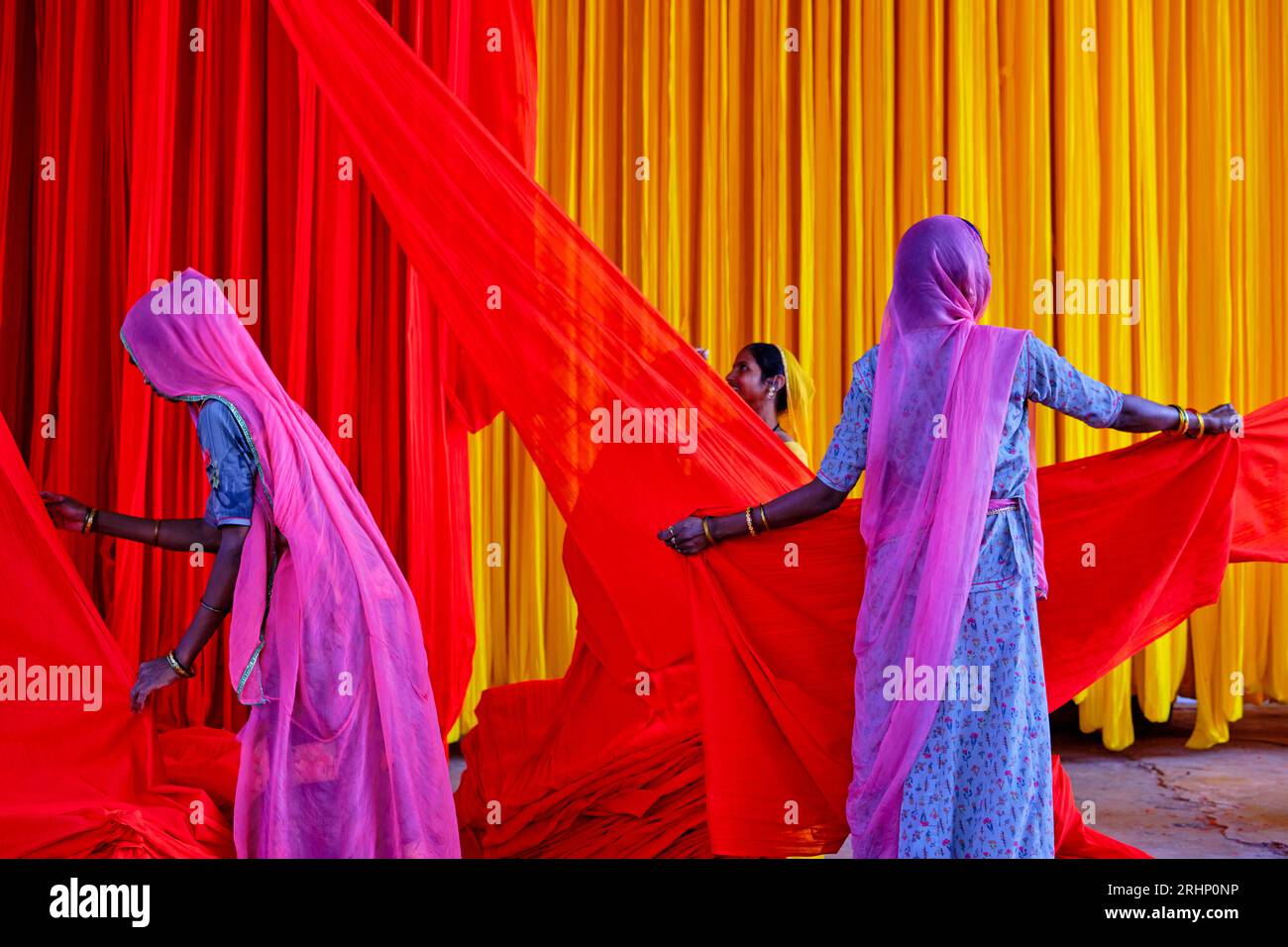 India Rajasthan, Sari fabbrica tessile sono asciugati all'aria aperta. La raccolta del prodotto tessile secco vengono piegate per le donne Foto Stock