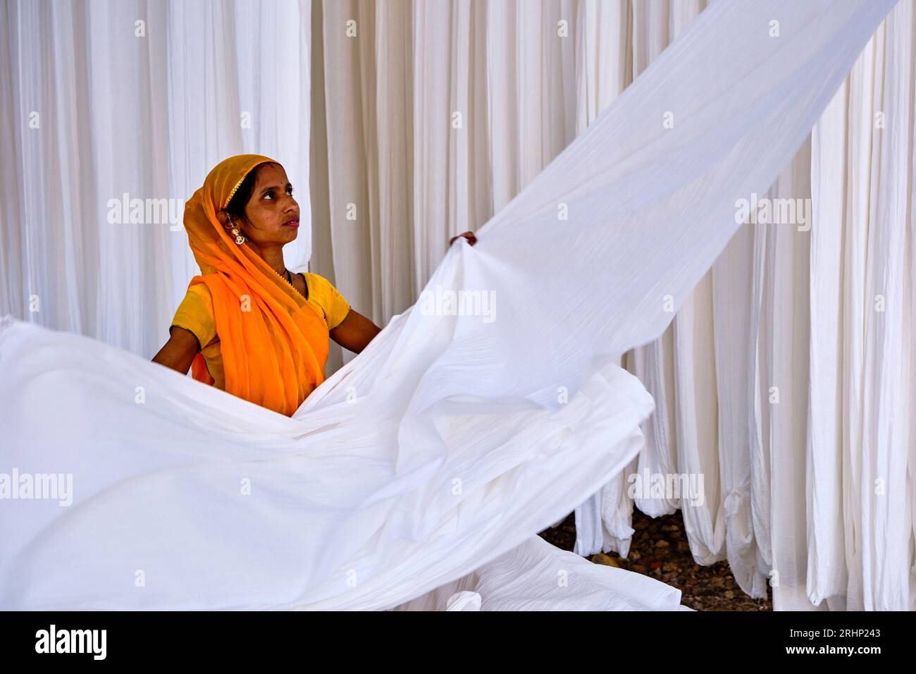 India Rajasthan, Sari fabbrica tessile sono asciugati all'aria aperta. La raccolta del prodotto tessile secco vengono piegate per le donne Foto Stock