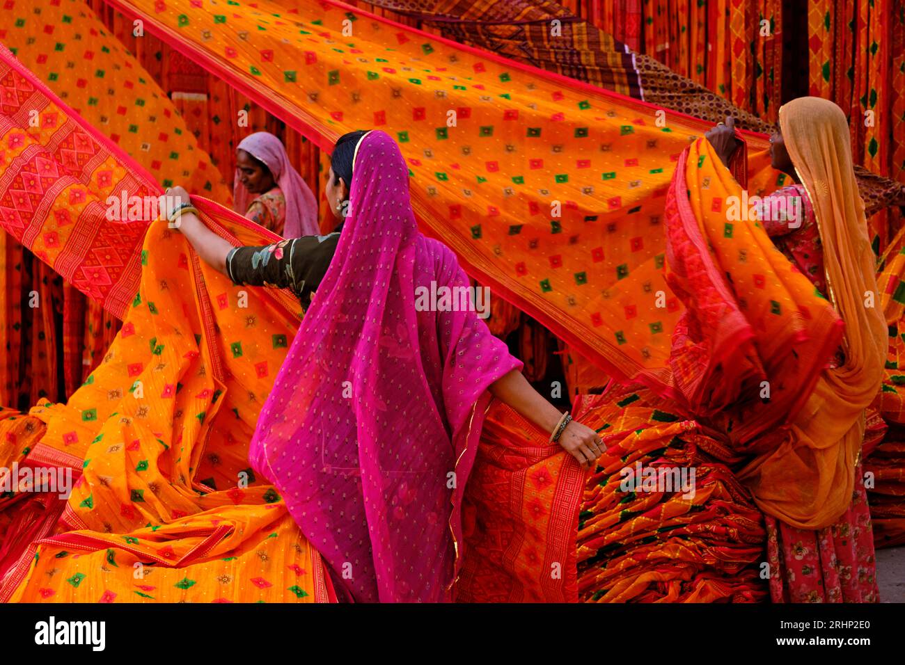 India Rajasthan, Sari fabbrica tessile sono asciugati all'aria aperta. La raccolta del prodotto tessile secco vengono piegate per le donne Foto Stock