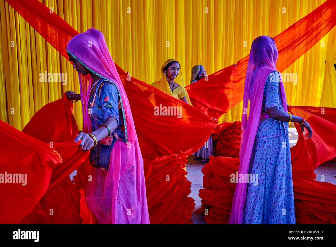 India Rajasthan, Sari fabbrica tessile sono asciugati all'aria aperta. La raccolta del prodotto tessile secco vengono piegate per le donne Foto Stock