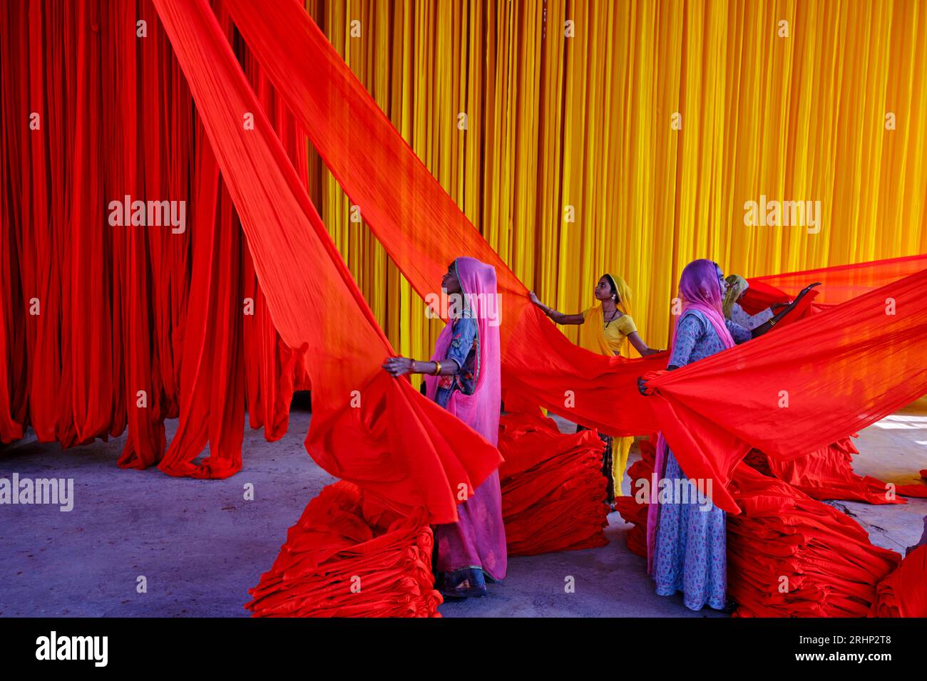 India Rajasthan, Sari fabbrica tessile sono asciugati all'aria aperta. La raccolta del prodotto tessile secco vengono piegate per le donne Foto Stock