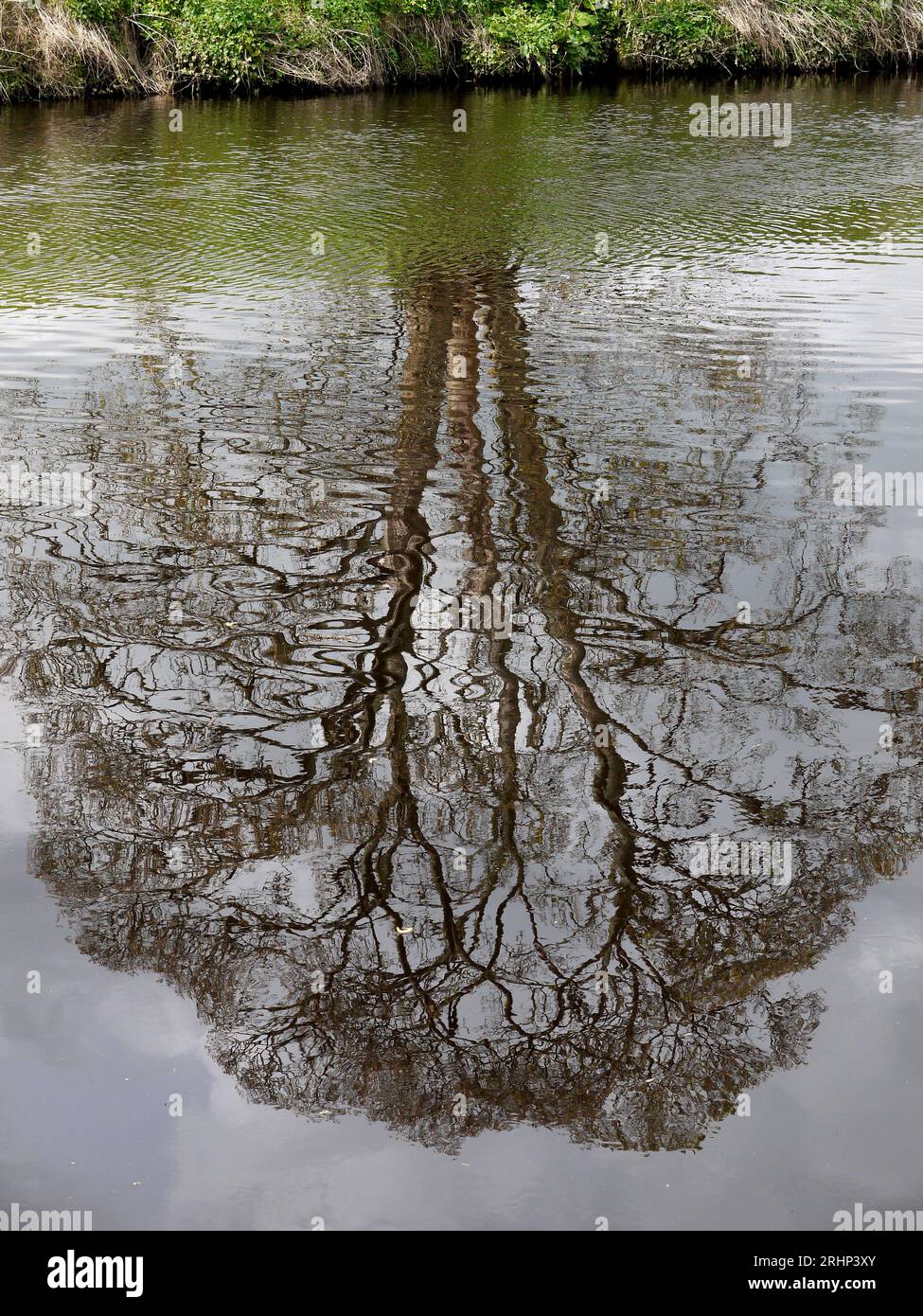 Il fiume Tees a Yarm Neat Stockton a Tees, Teesside, Inghilterra, Regno Unito Foto Stock