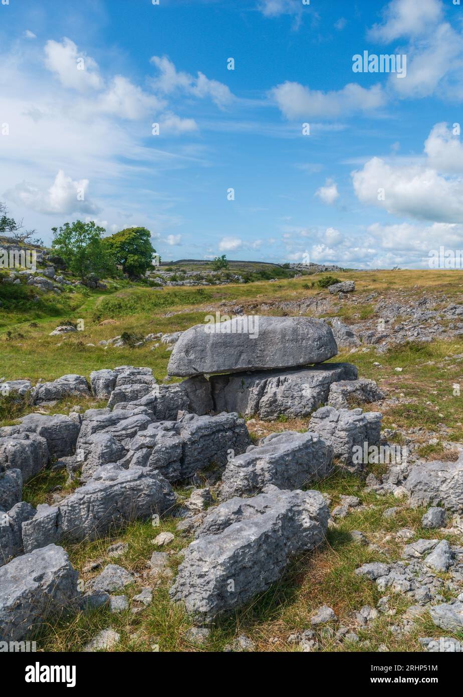 Bilanciato irregolare su pavimentazione calcarea, Newbiggin Crags, Burton-in-Kendal, Cumbria Foto Stock