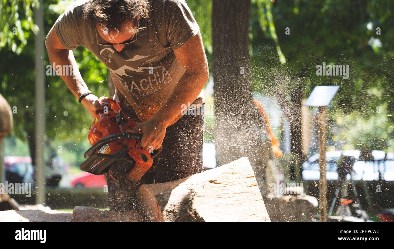 il legno funziona Foto Stock