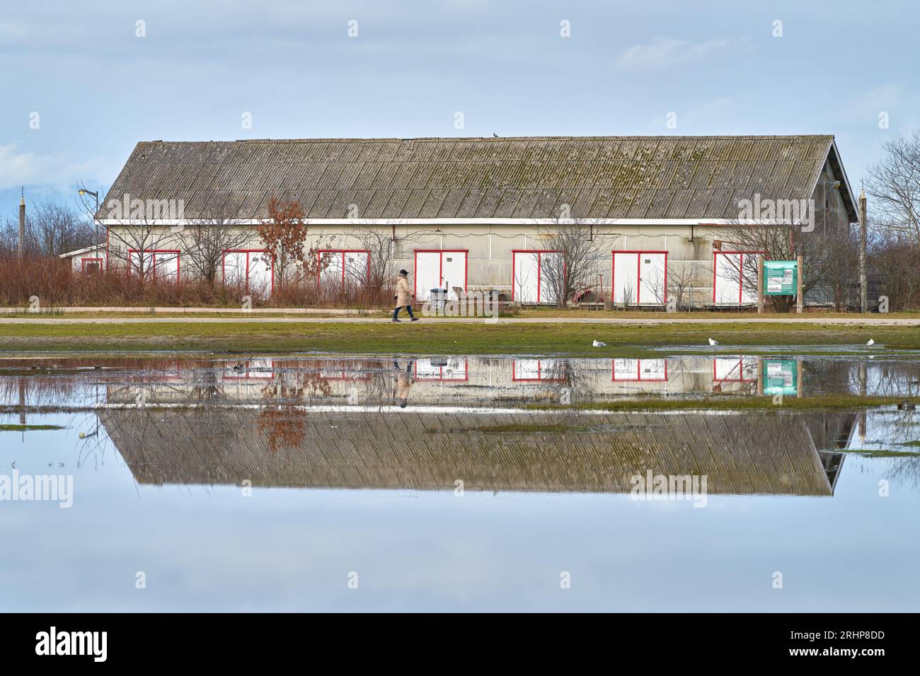 Passeggiata mattutina Net Shed Reflection Garry Point. Lo storico capannone a Garry Point si riflette in uno stagno. Steveston. Richmond, British Columbia. Foto Stock