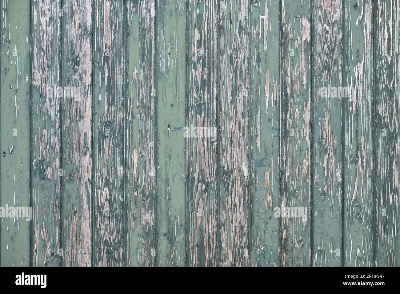Listelli di legno verniciati di verde su una casa nei Paesi Bassi Foto Stock