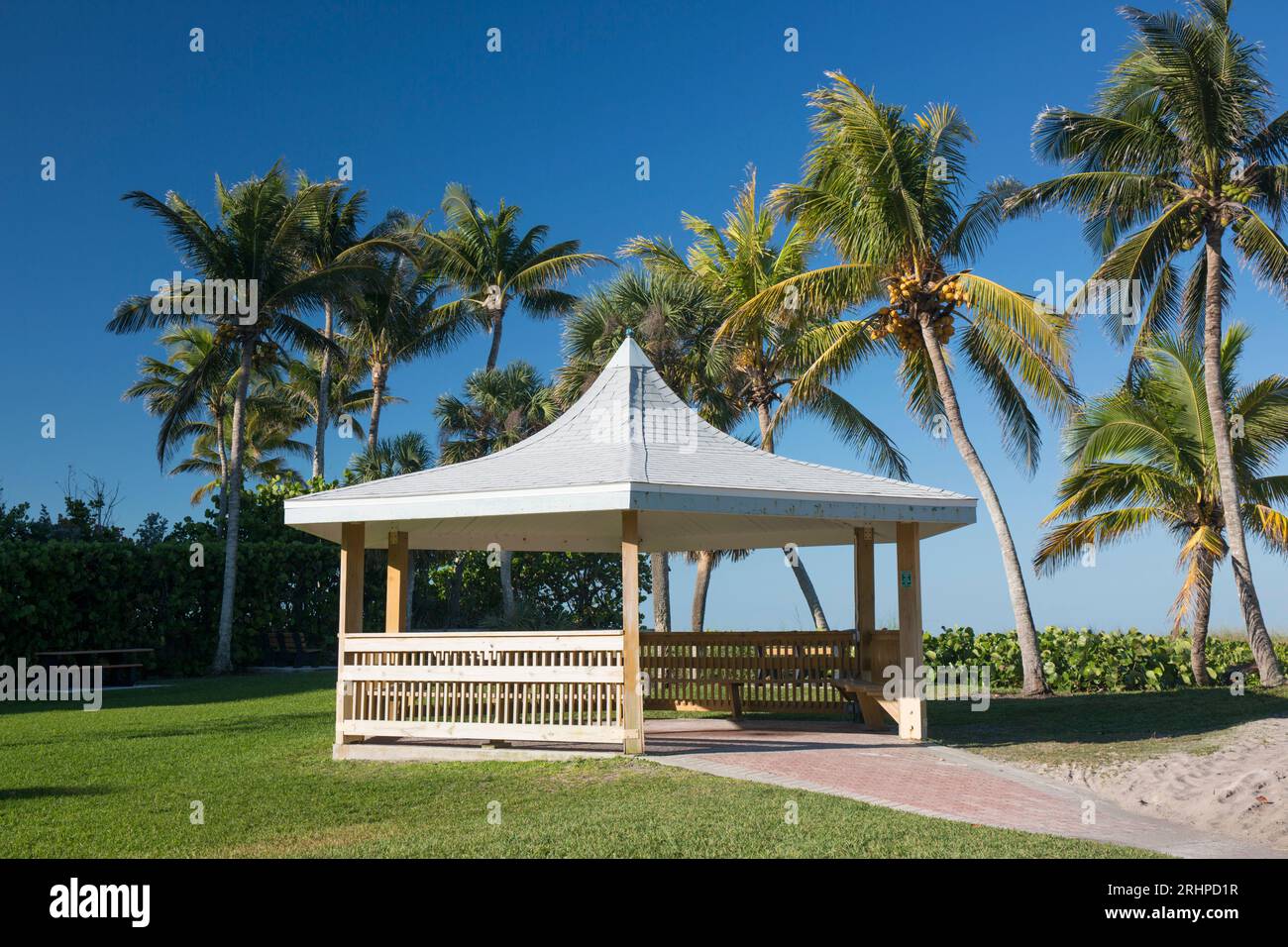 Naples, Florida, USA. Tipico gazebo in legno sotto le torreggianti palme sulla spiaggia nel Lowdermilk Park. Foto Stock Naples, Florida, USA. Tipico gazebo in legno sotto le torreggianti palme sulla spiaggia nel Lowdermilk Park. Foto Stock