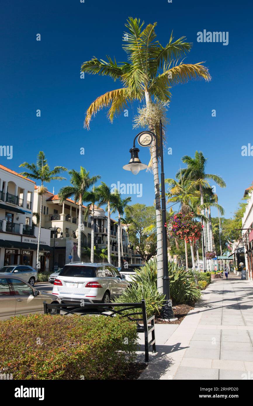 Naples, Florida, USA. Vista lungo la 5th Avenue South, fiancheggiata da palme, la via dello shopping più esclusiva della città. Foto Stock