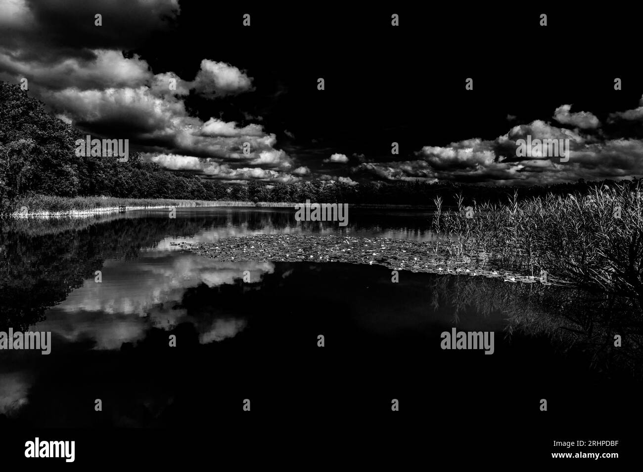 Smal Lake in estate, bianco e nero Foto Stock