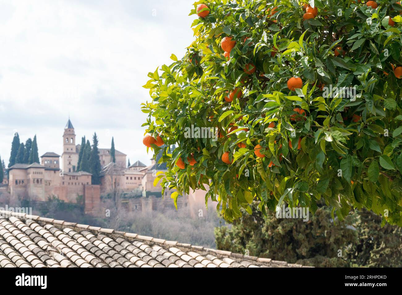 Spagna, Andalusia, Granada, vista lontana dell'Alhambra dal giardino di Casa del Chapiz, arancio Foto Stock
