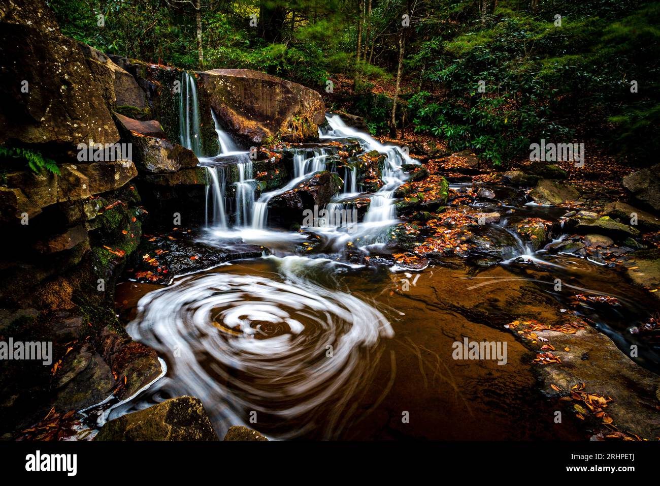 Pendleton Falls nel Blackwater Falls State Park. Foto Stock