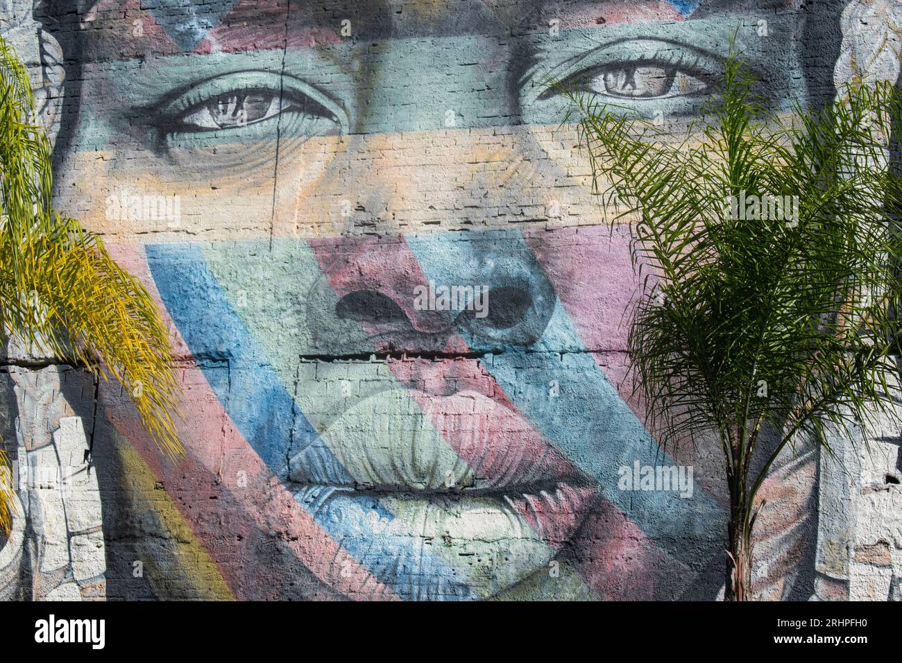 Rio de Janeiro, Brasile: Skyline della città con vista sul murale das Etnias, chiamato "siamo tutti uno", realizzato dall'artista brasiliano Eduardo Kobra per le Olimpiadi di Rio 2016 Foto Stock
