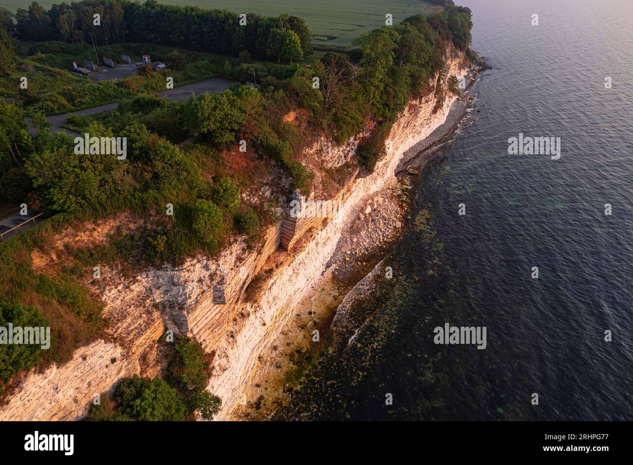 Cliff, Stevens Klint, Hojerup, Zelanda, Danimarca Foto Stock