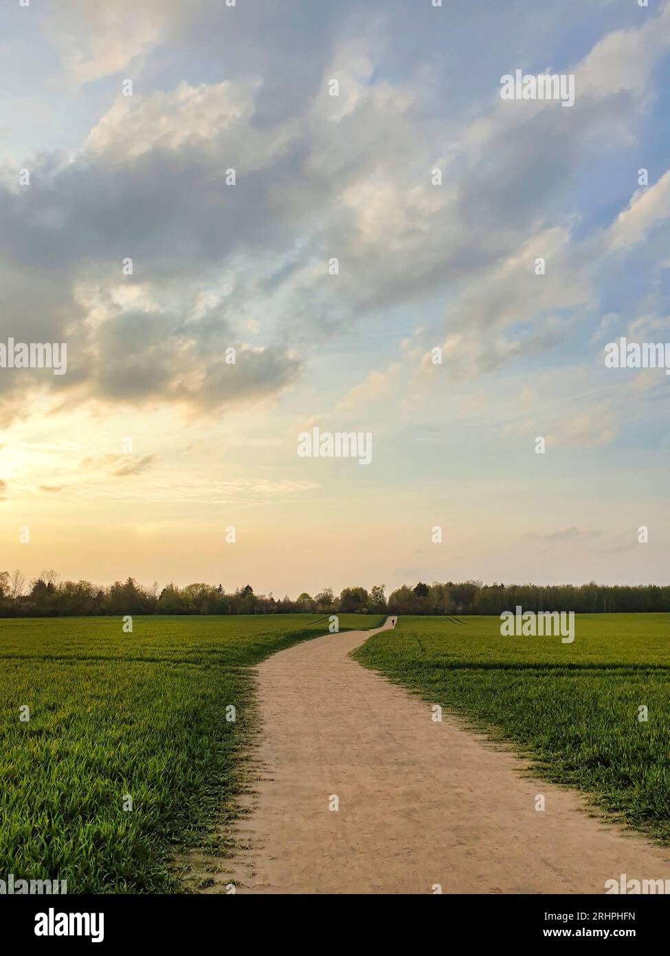 Germania, Berlino, Teltow Fläming, paesaggio, estate, una strada rurale all'orizzonte, campi di grano verde, cielo serale con nuvole estive Foto Stock