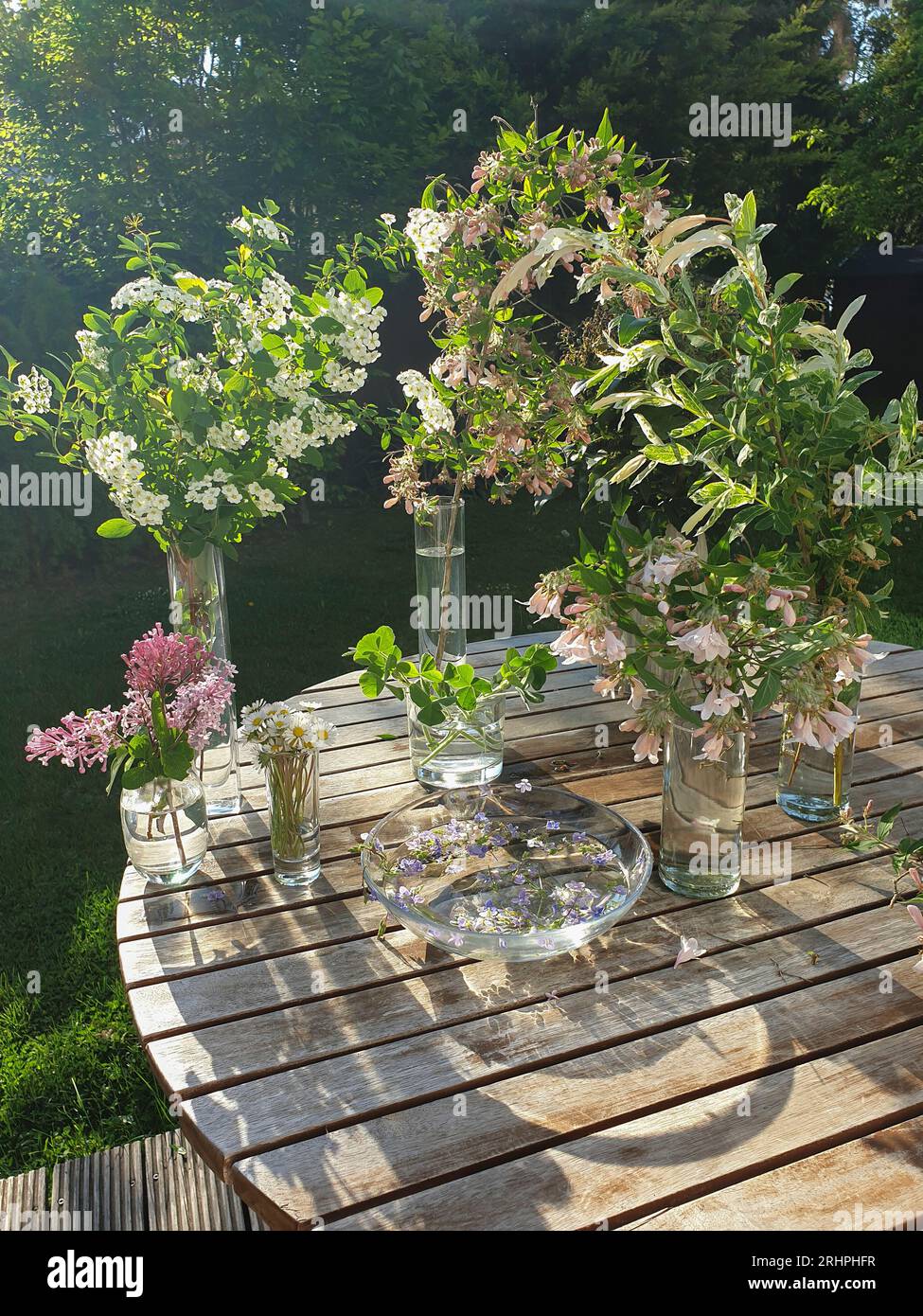 Ciotola in vetro con fiori, vasi in vetro con fiori, sciamassi in vetro, decorazione estiva alla luce del sole con ombra su tavolo in legno Foto Stock