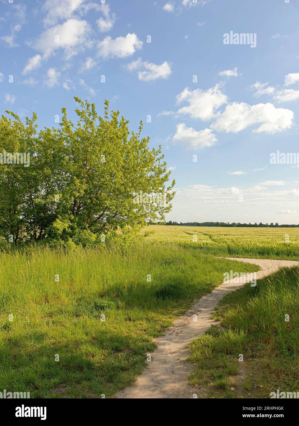 Germania, Berlino, vecchio sentiero murario a sud di Berlino con vista su Teltow Fläming, paesaggio verde, estate, distesa infinita, Foto Stock