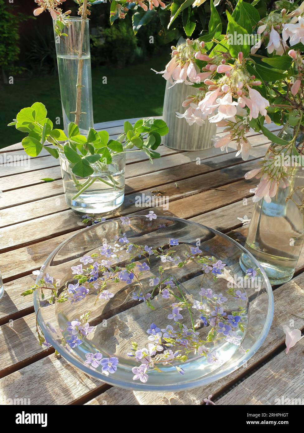 Fiori artificiali e piante secche in vasi trasparenti sul pavimento contro  parete blu Foto stock - Alamy