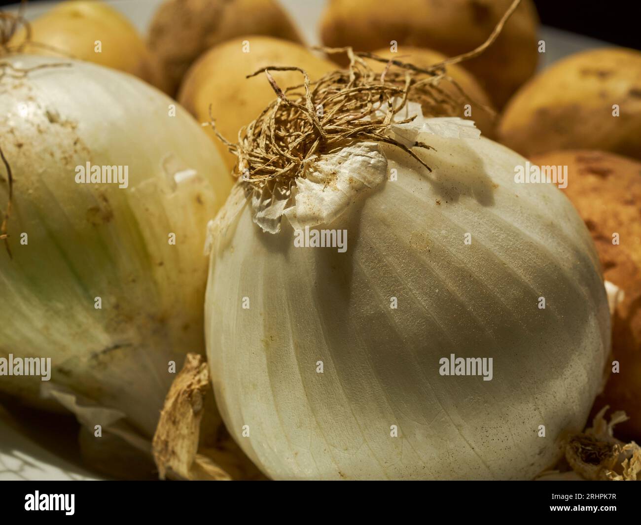 Cipolle bianche intere crude e patate gialle Foto Stock