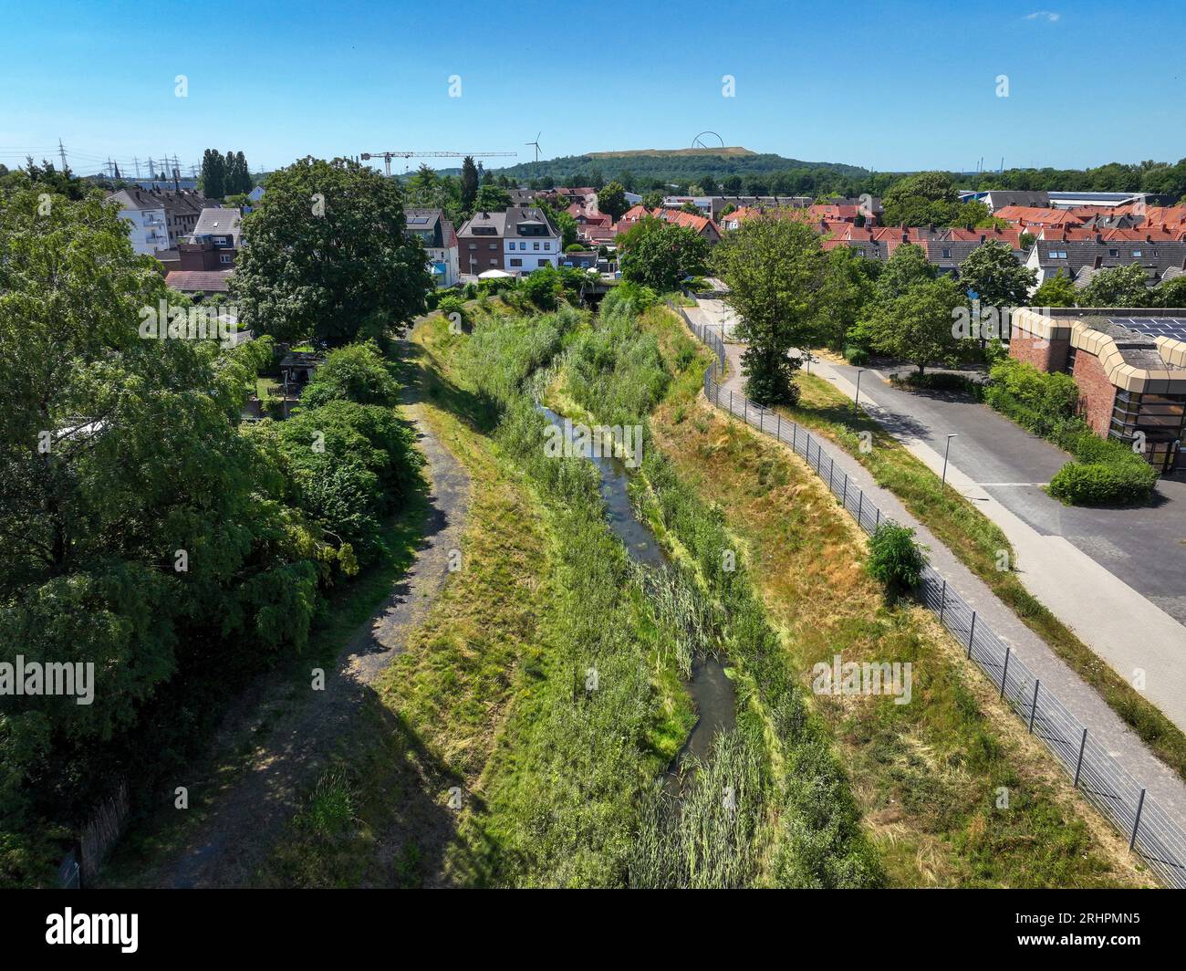 Recklinghausen, Renaturalized Hellbach, Renaturalized, Renaturalized Watercourse Foto Stock