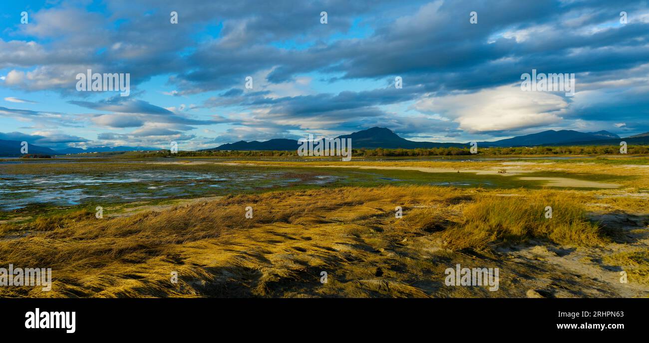 Paesaggio invernale, fiume Bot, Overberg, Sudafrica. Foto Stock