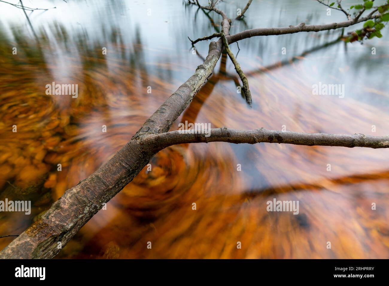 Stretta Luzin in autunno, Meclemburgo-Pomerania occidentale, Germania Foto Stock