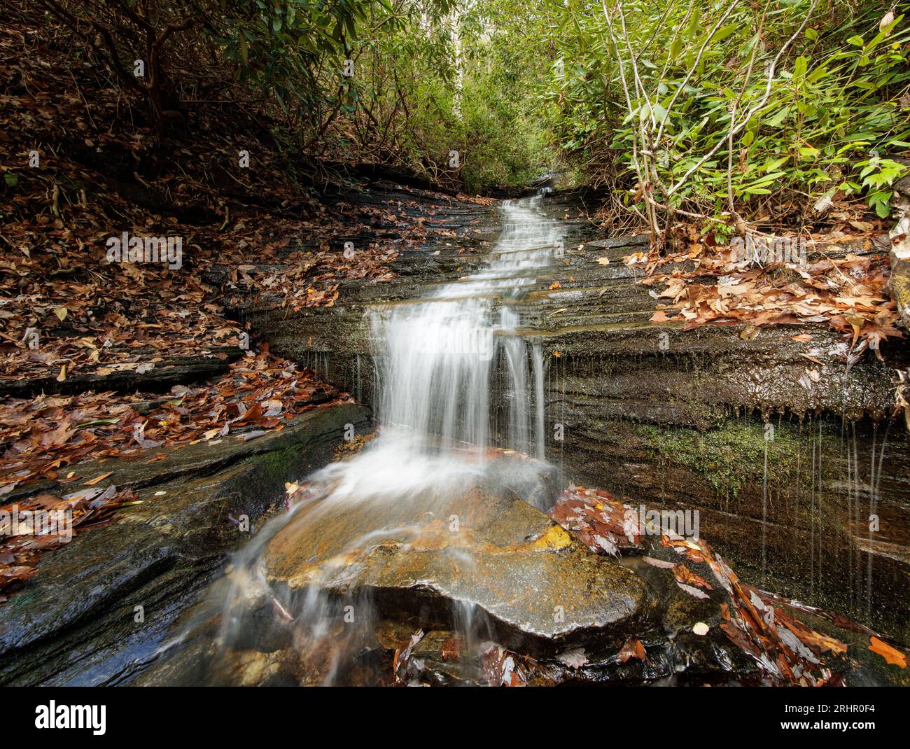 I bassi livelli d'acqua di Joe Creek rivelano gli strati di roccia di Angel Falls. Foto Stock