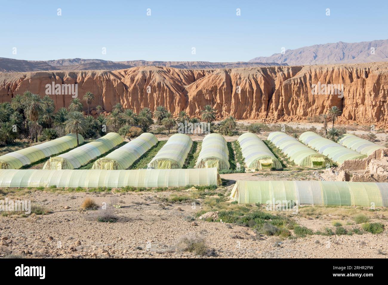 Valutazione della sostenibilità delle strutture a effetto serra agricole nel sud dell’Algeria Foto Stock