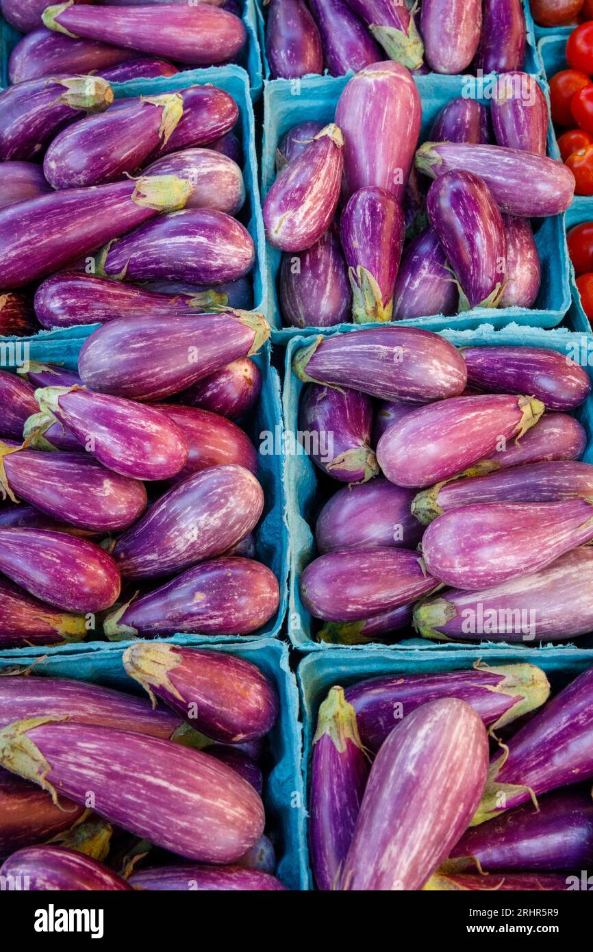 Melanzane in vendita presso il mercato agricolo settimanale di Reston, Virginia, USA. Foto Stock