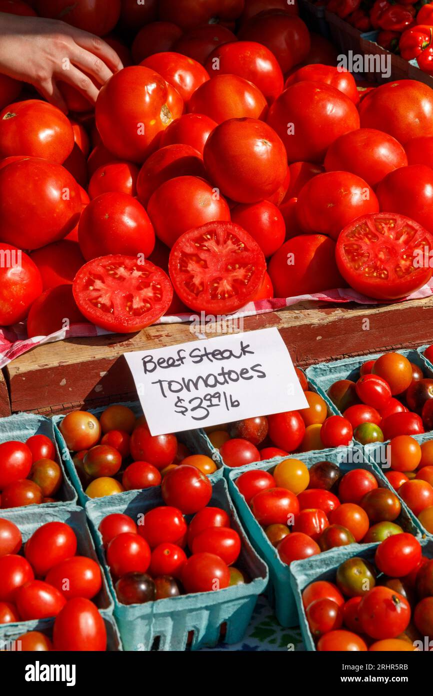 Pomodori in vendita presso il mercato agricolo settimanale di Reston, Virginia, USA. Foto Stock