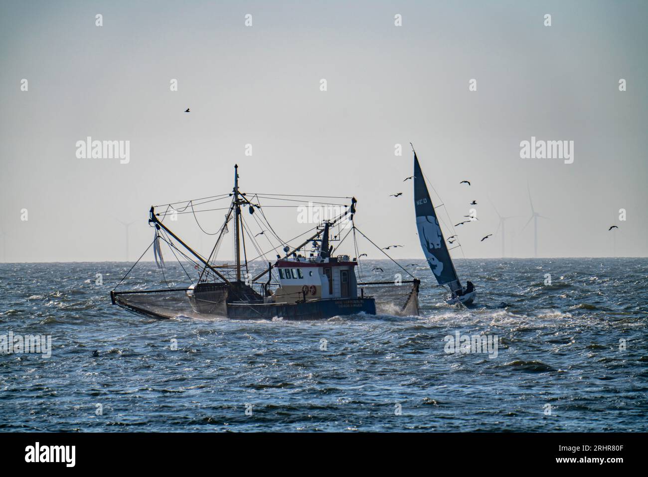 Taglia granchi SCH-10 Drie Gebroeders, al largo della costa di Scheveningen, l'Aia, con reti da diporto, barca a vela, Paesi Bassi Foto Stock