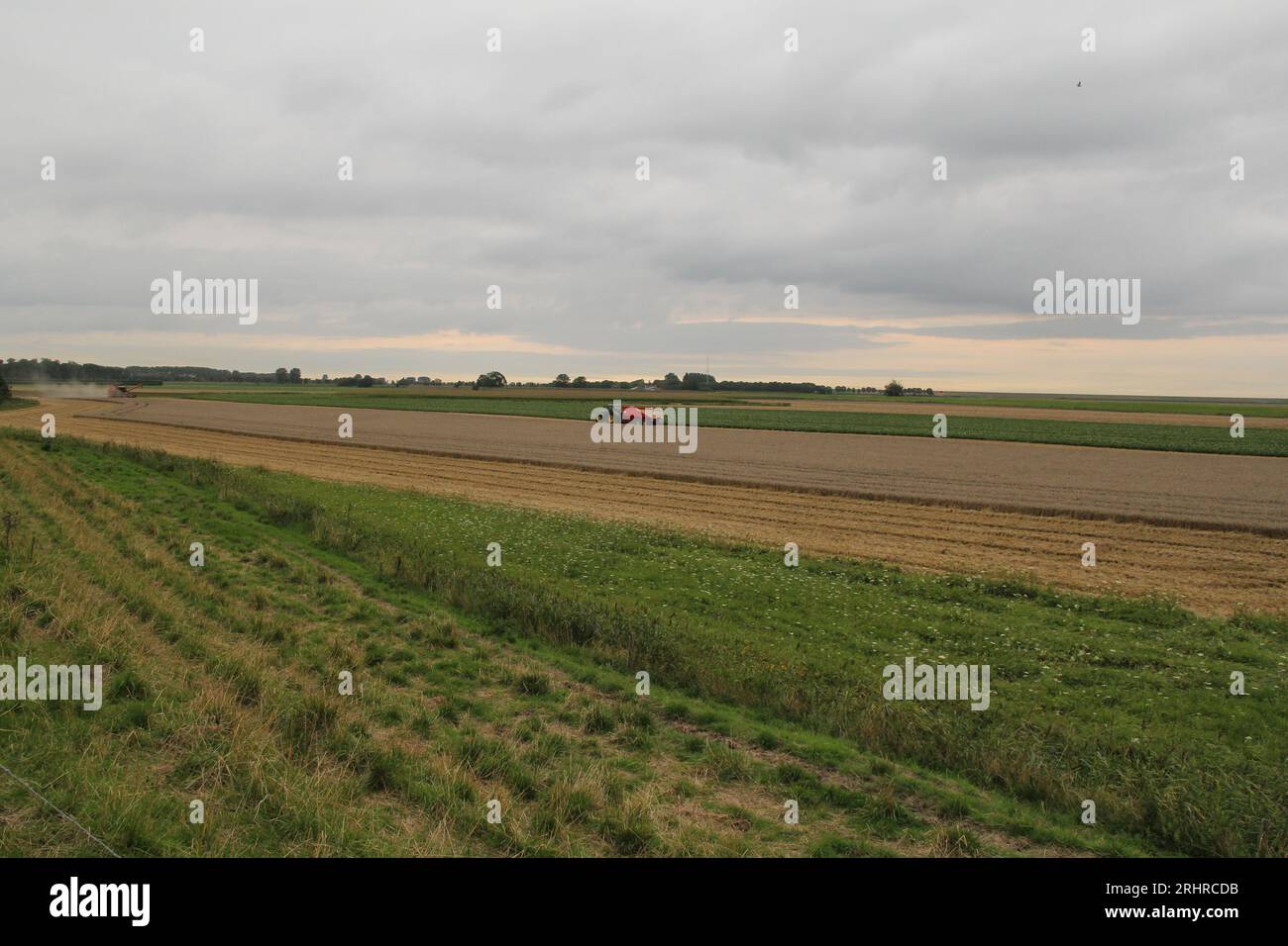 un paesaggio rurale panoramico di un campo di grano con una mietitrebbia e campi verdi e un cielo grigio con nuvole di pioggia in estate Foto Stock