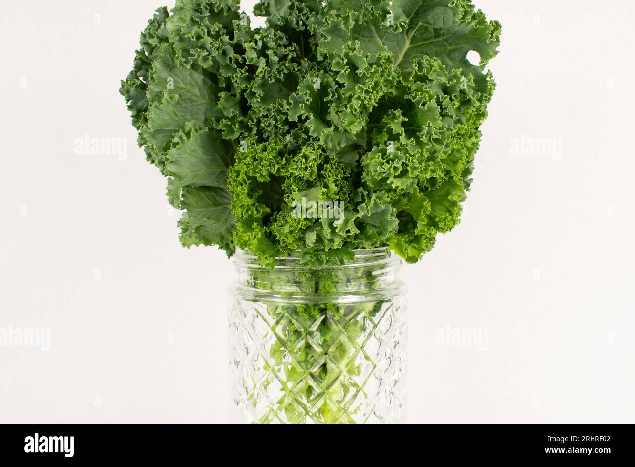 Foglie di cavolo verde brillante in vaso di vetro decorativo Foto Stock