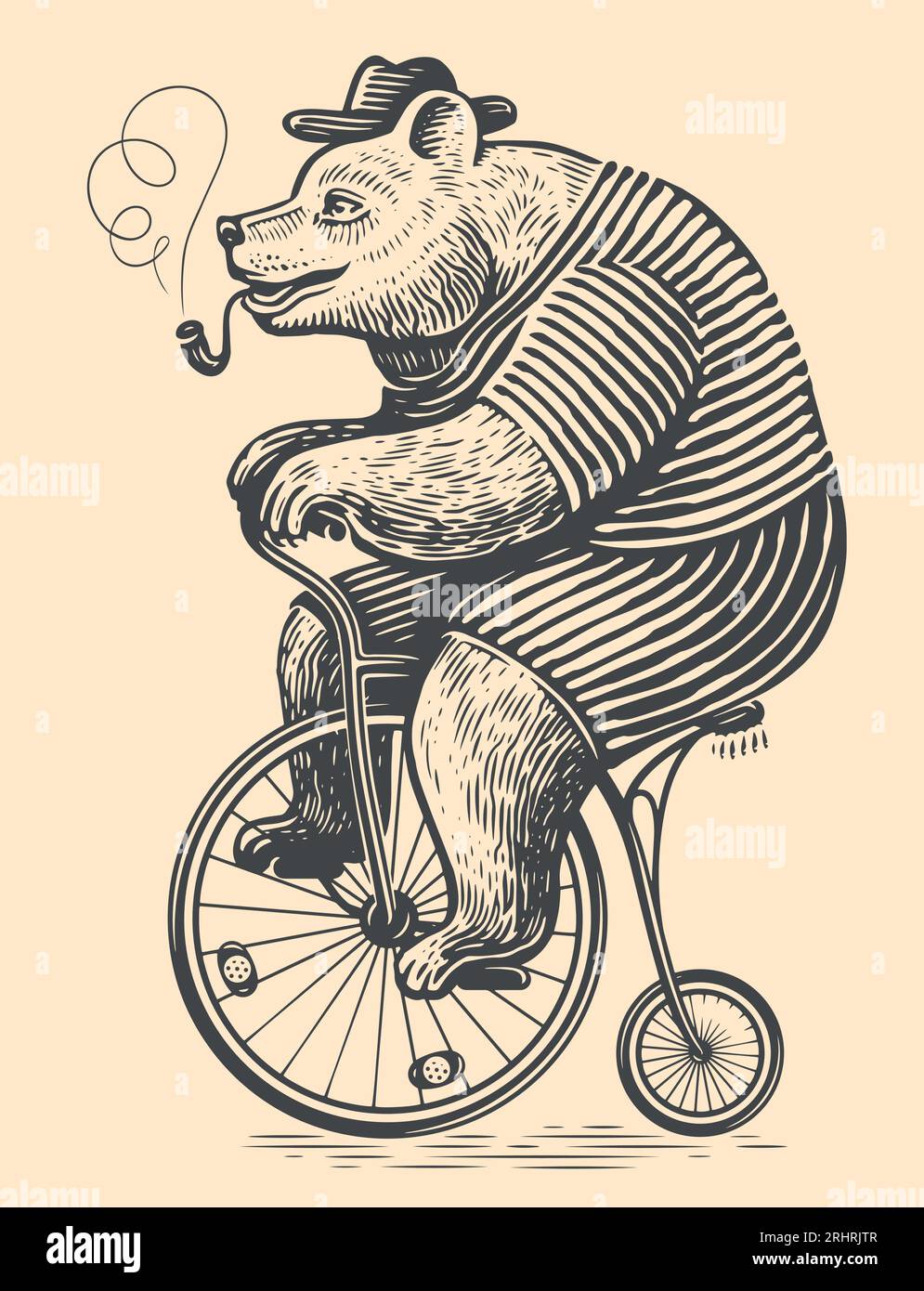 Un simpatico orso è in sella a una bicicletta rétro. Stile d'incisione per illustrazioni vettoriali di schizzi vintage Illustrazione Vettoriale