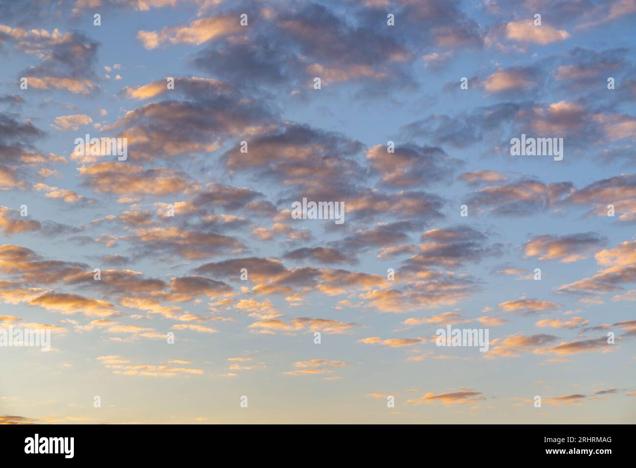 Nuvole dalla forma esotica allungata su sfondo blu cielo Foto Stock