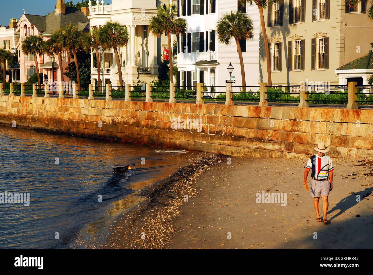 Un uomo e il suo cane si godono la costa e la piccola spiaggia in una giornata di sole vicino alle case del periodo precedente la guerra a Charleston, South Carolina Foto Stock