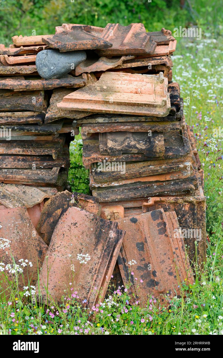 Tegole come rifugio per gli animali nel giardino, Croazia Foto Stock