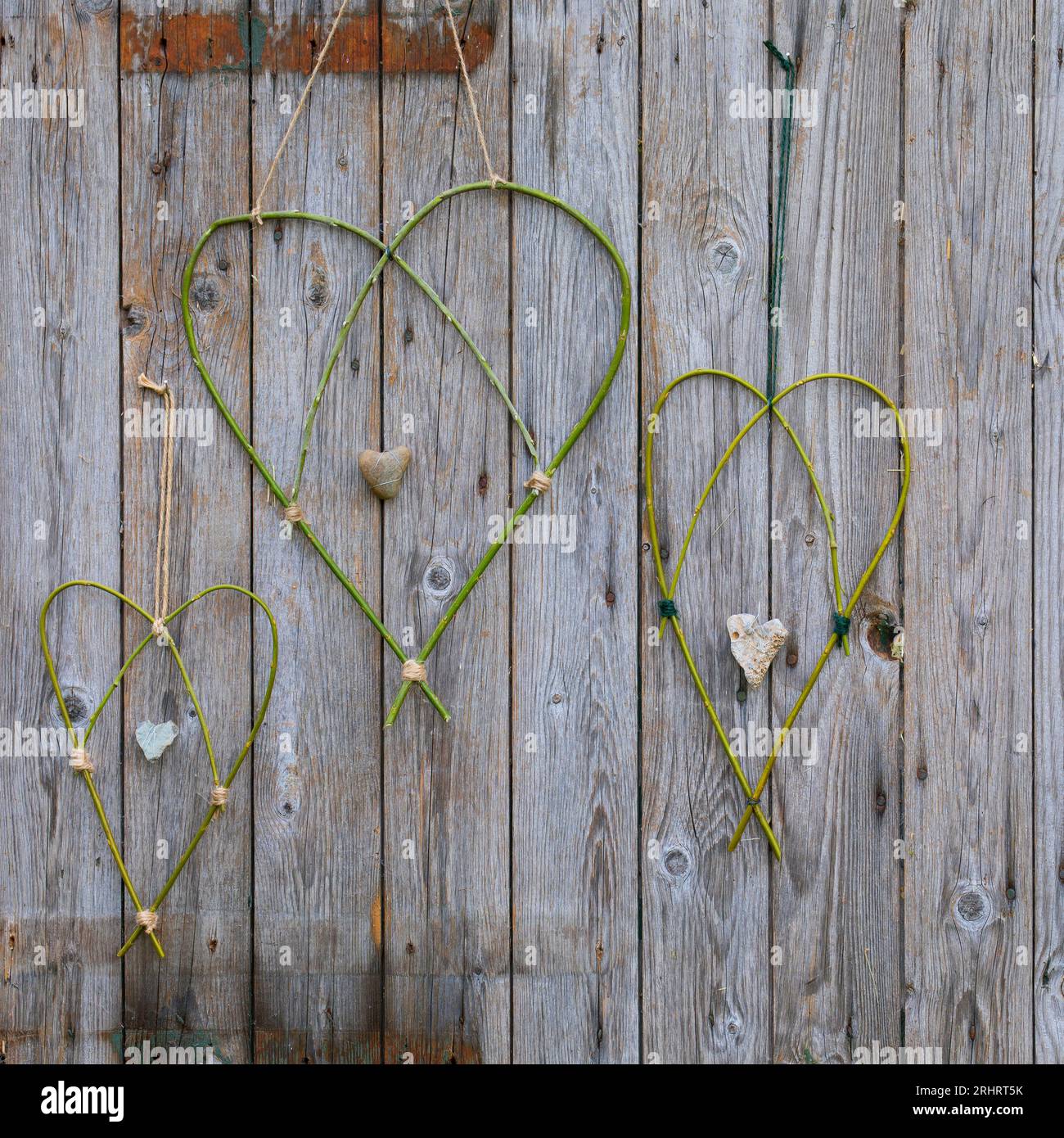 cuori fatti di rami di salice su una parete di legno Foto Stock