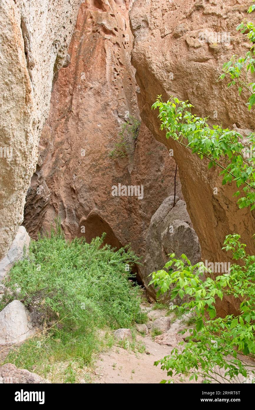 Mura di arenaria alla base del canyon Frijoles nel Bandelier National Monument Foto Stock