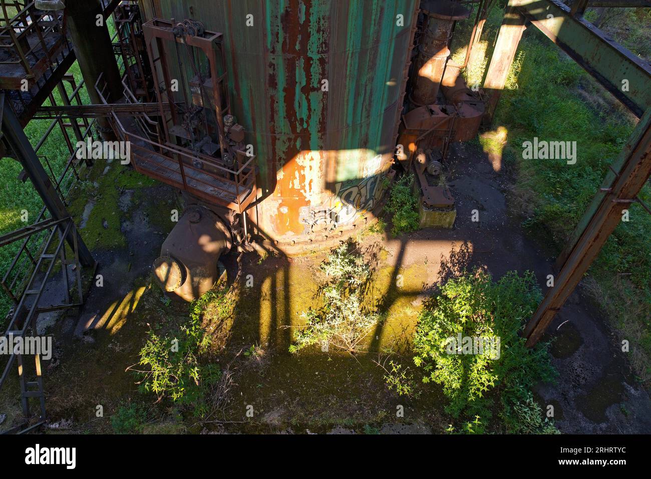 Natura industriale nel sito industriale dismesso Phoenix-West nel distretto di Hoerde, Germania, Renania settentrionale-Vestfalia, Ruhr area, Dortmund Foto Stock