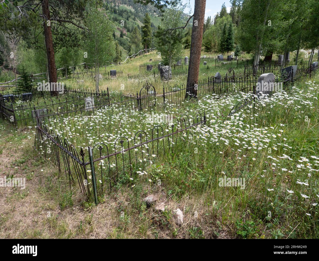 Il Greenwood Cemetery è mostrato a Red Cliff, Colorado, il 29 luglio 2023. Foto di Francis Specker Foto Stock