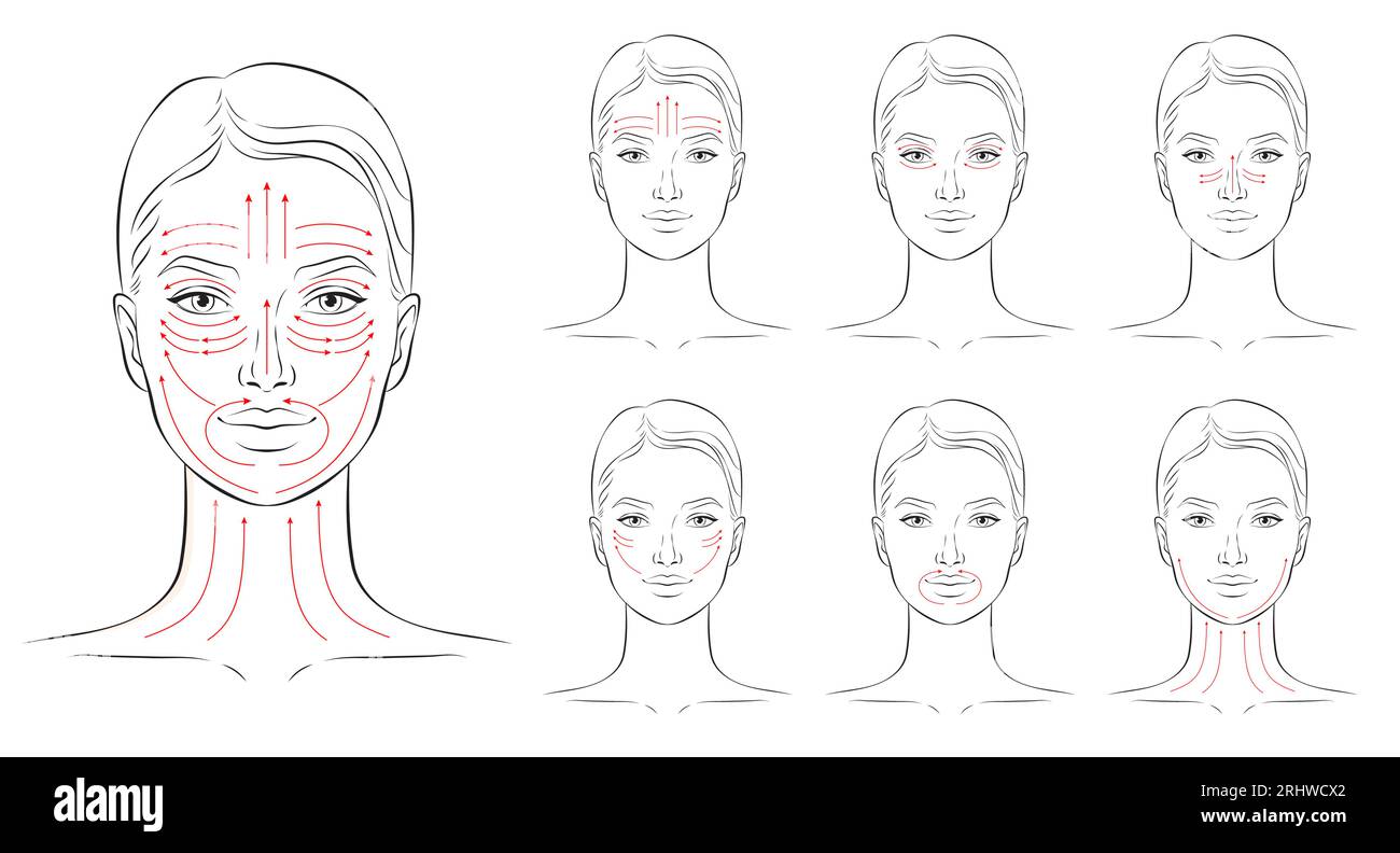 Linee di massaggio viso. Istruzioni per il massaggio facciale, illustrazione vettoriale. Illustrazione Vettoriale