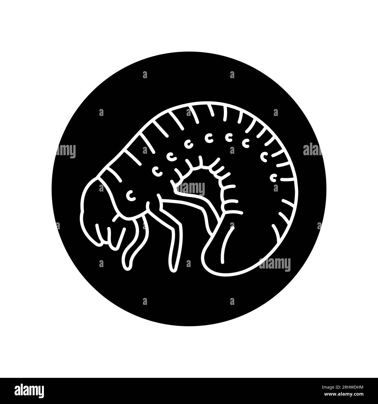 Icona linea nera Maybug. Pittogramma per pagina web, app mobile, promo. Illustrazione Vettoriale
